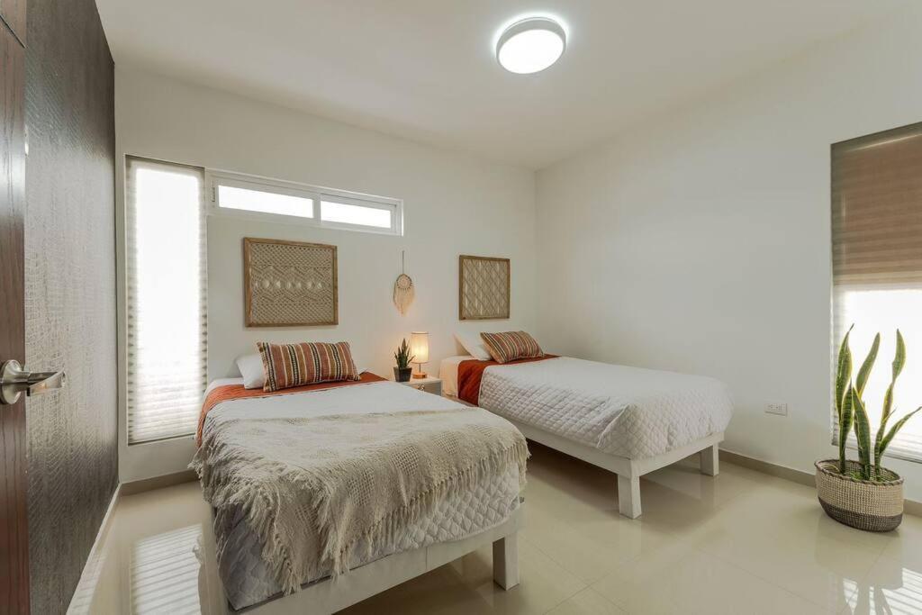 Апартаменти Barcelona Loft Чіуауа Екстер'єр фото
